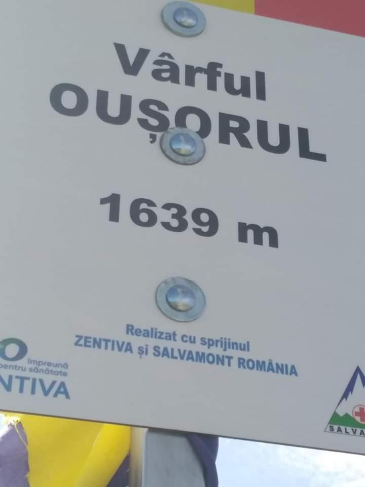 הוילה Dorna Cindrenilor Casuta Bunicilor מראה חיצוני תמונה